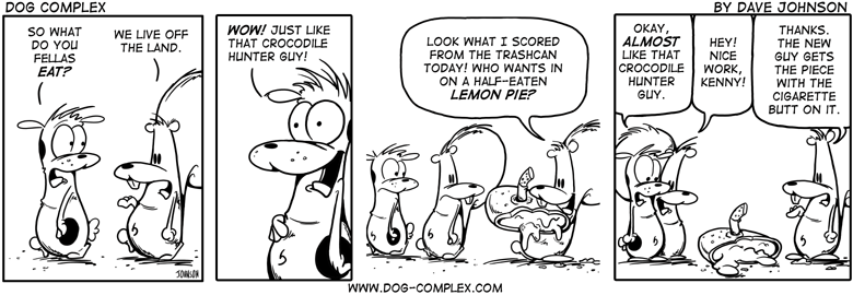 dog